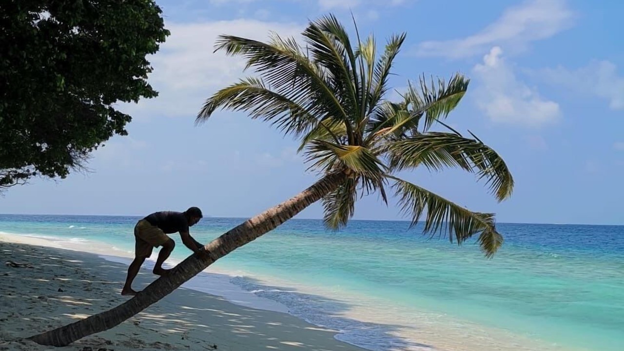 Photo of Others in Dharavandhoo