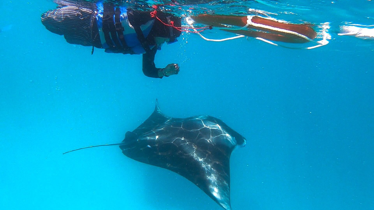 Photo of Others in Dharavandhoo