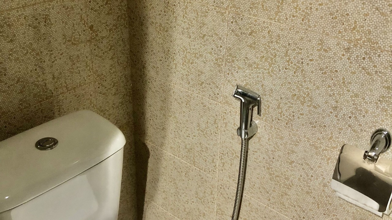 Photo of Bathroom in Avlabari