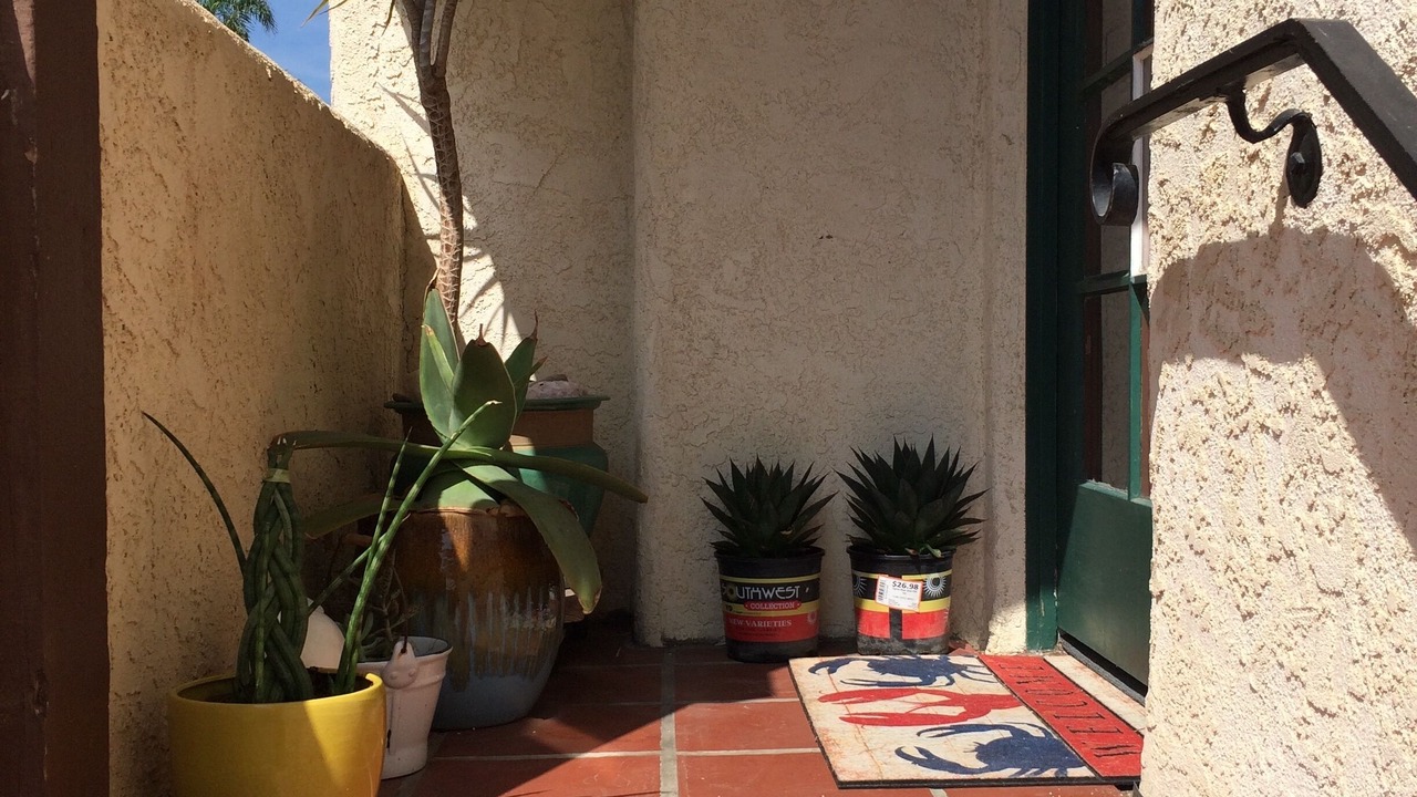 Photo of Outdoor in East Beach