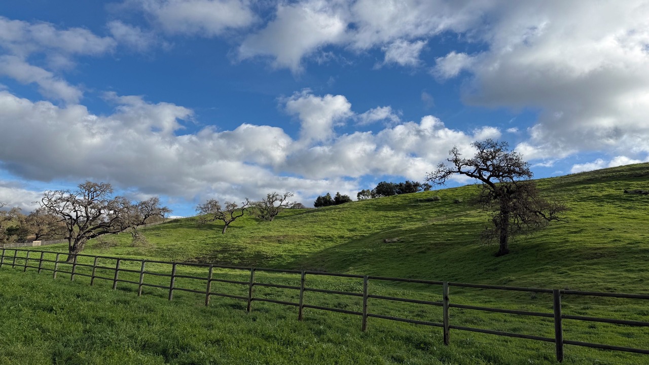 Photo of Others in Santa Ynez