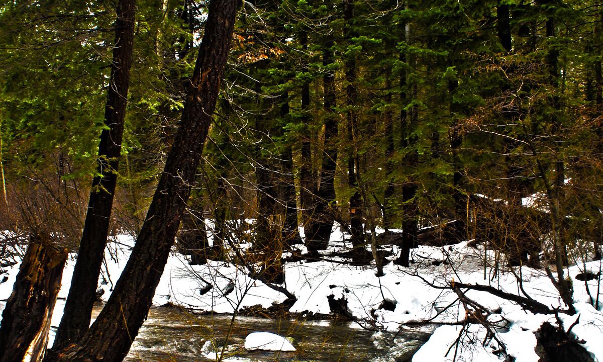 Photo of Others in Christmas Valley