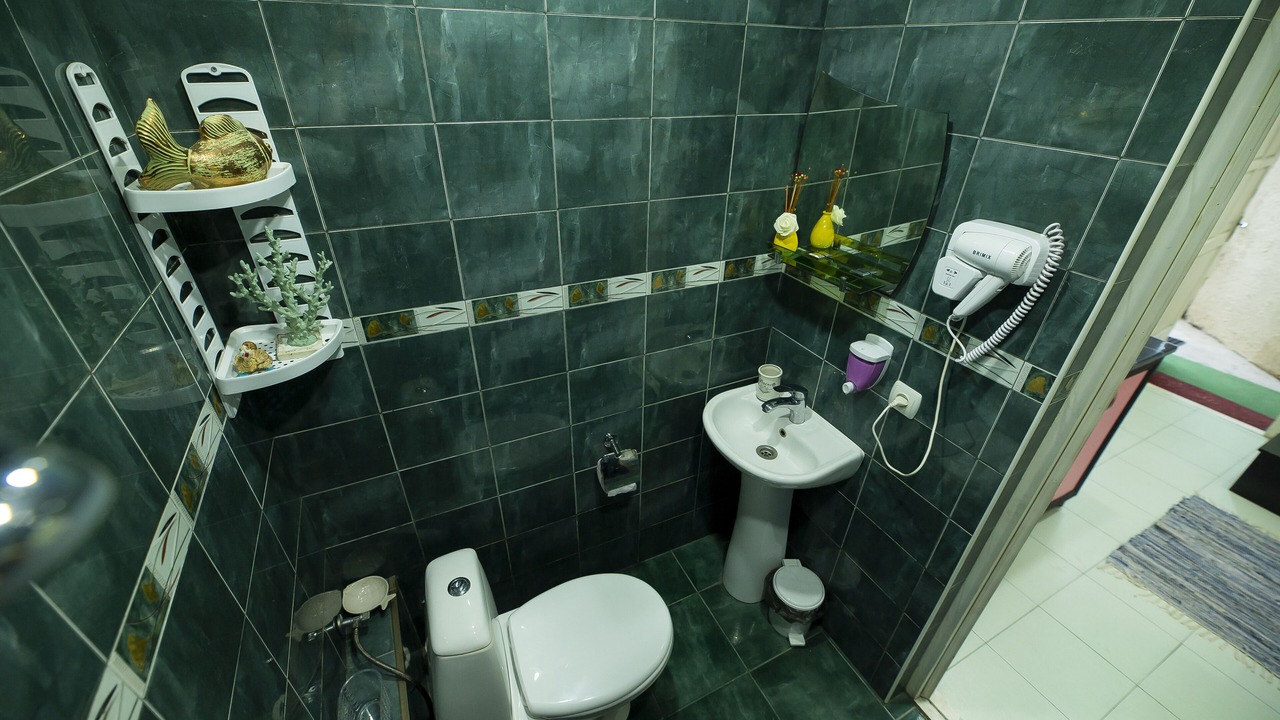 Photo of Bathroom in Tbilisi City Centre