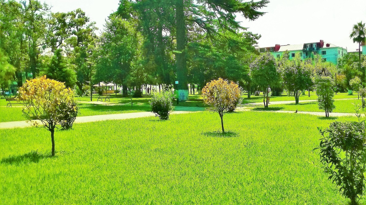 Photo of Outdoor in Old Boulevard