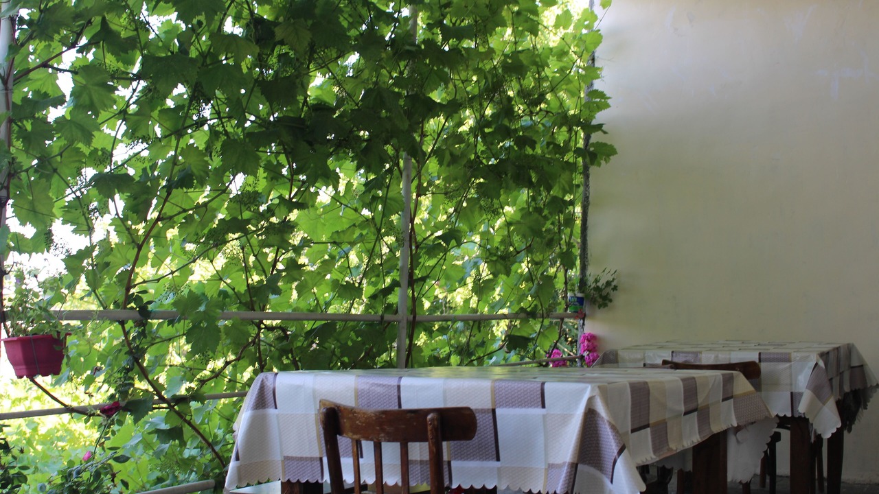 Photo of Outdoor in Telavi