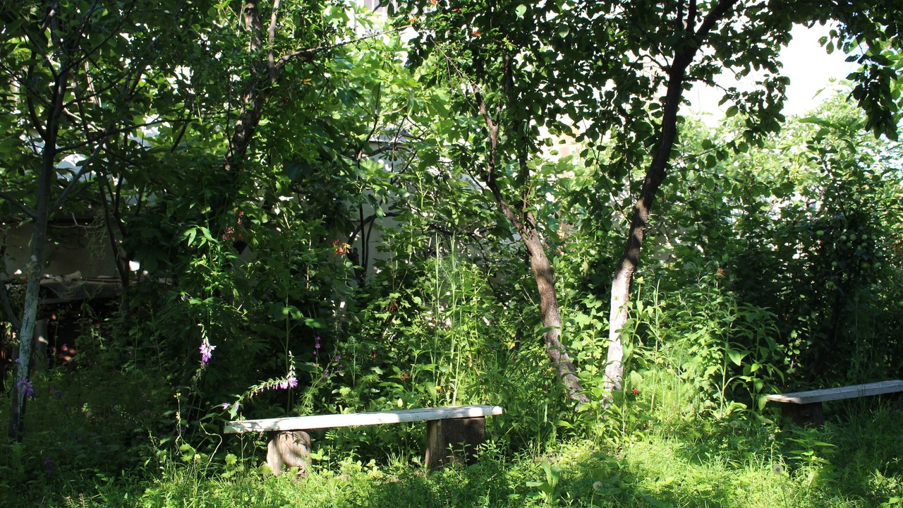 Photo of Outdoor in Telavi
