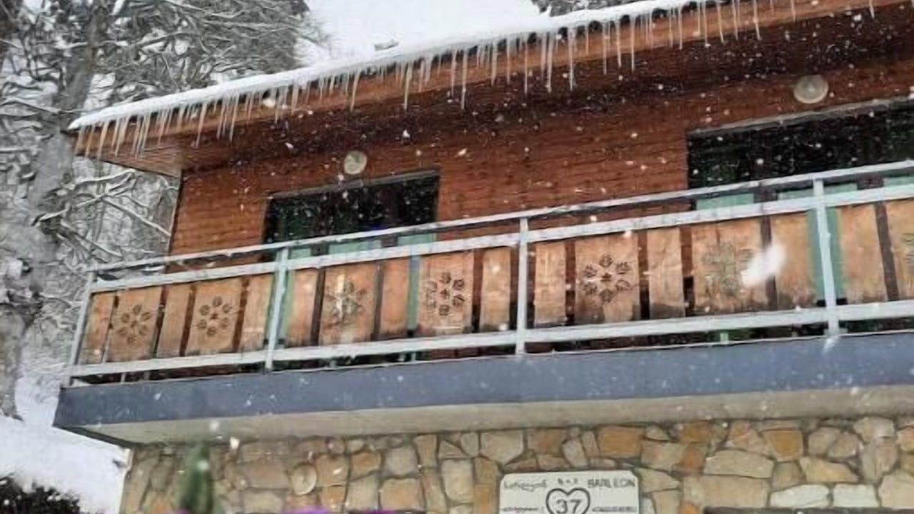 Photo of Outdoor in Bakuriani