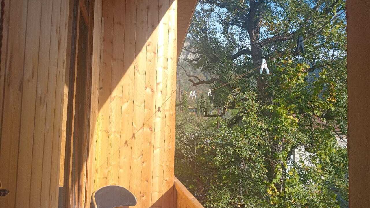 Photo of Outdoor in Borjomi