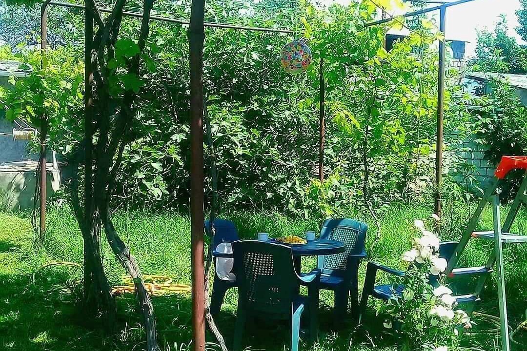Photo of Outdoor in Vedzebi