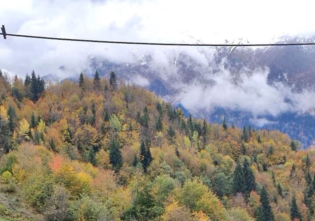 Photo of Outdoor in Mestia