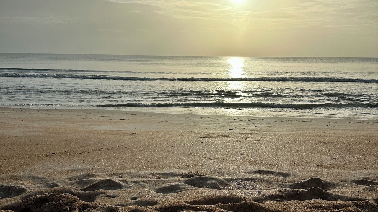 Photo of Others in Sunny Shores
