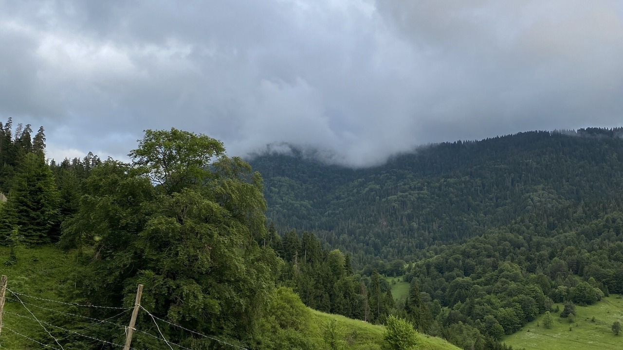 Photo of Outdoor in Likani
