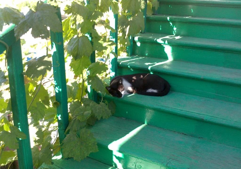 Photo of Outdoor in Tbilisi