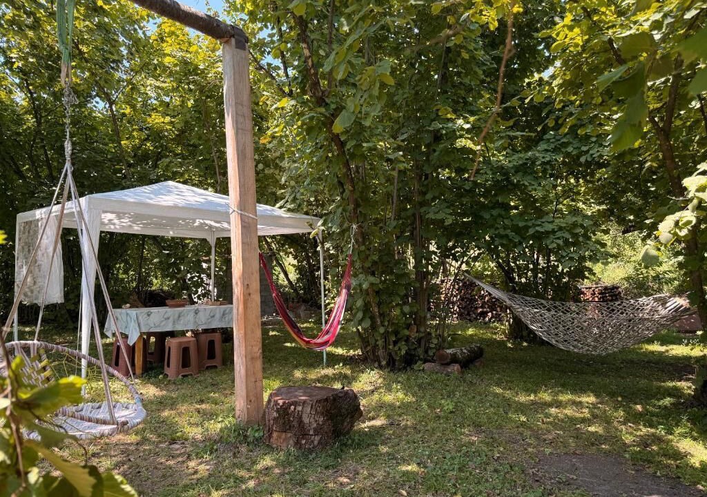 Photo of Outdoor in Akhmeta