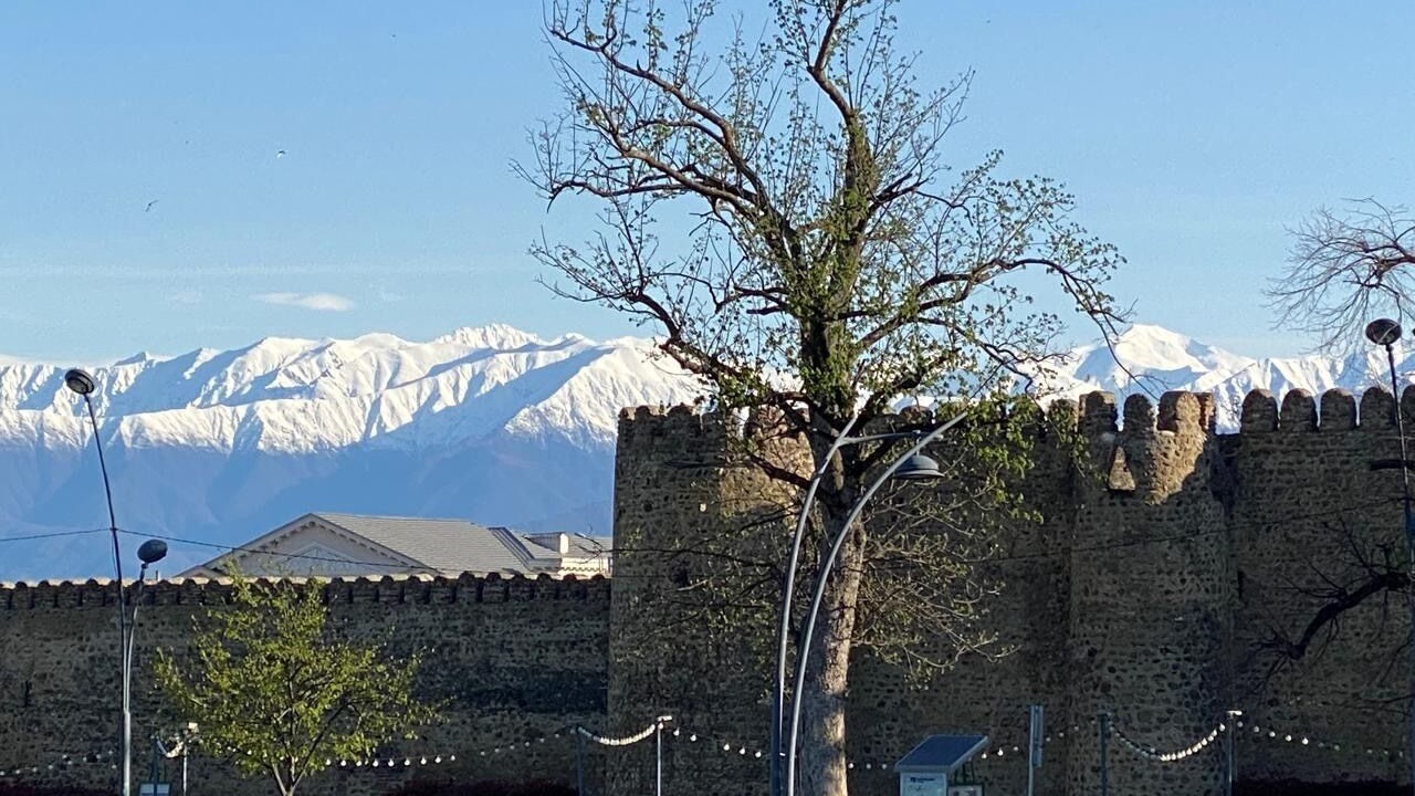 Photo of Others in Telavi