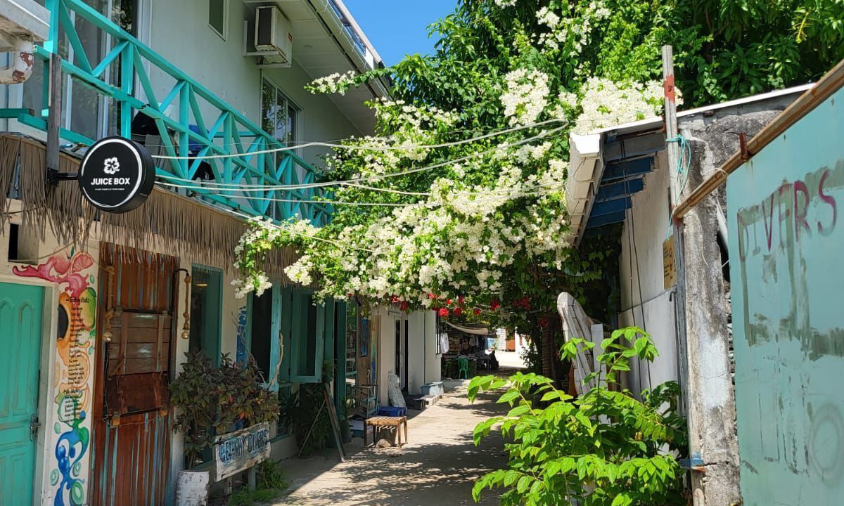 Photo of Others in Cocoa Island