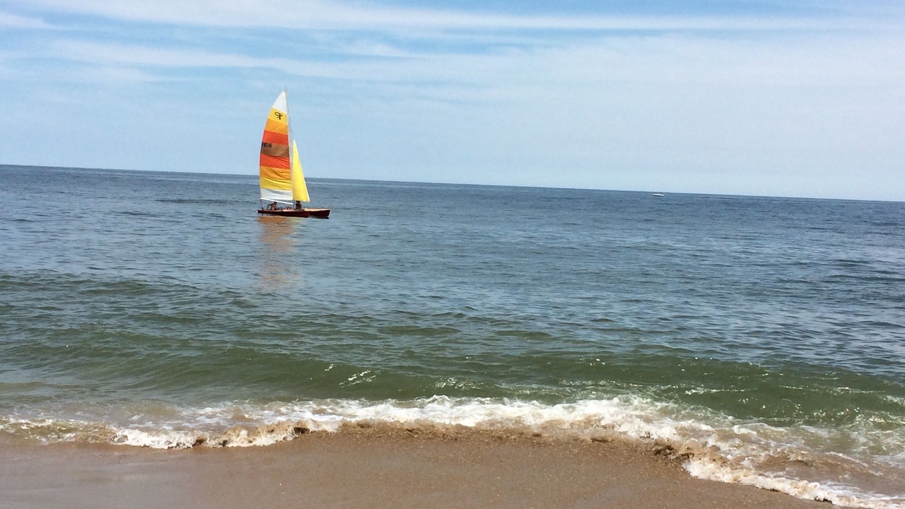 Photo of Others in Northeast Virginia Beach