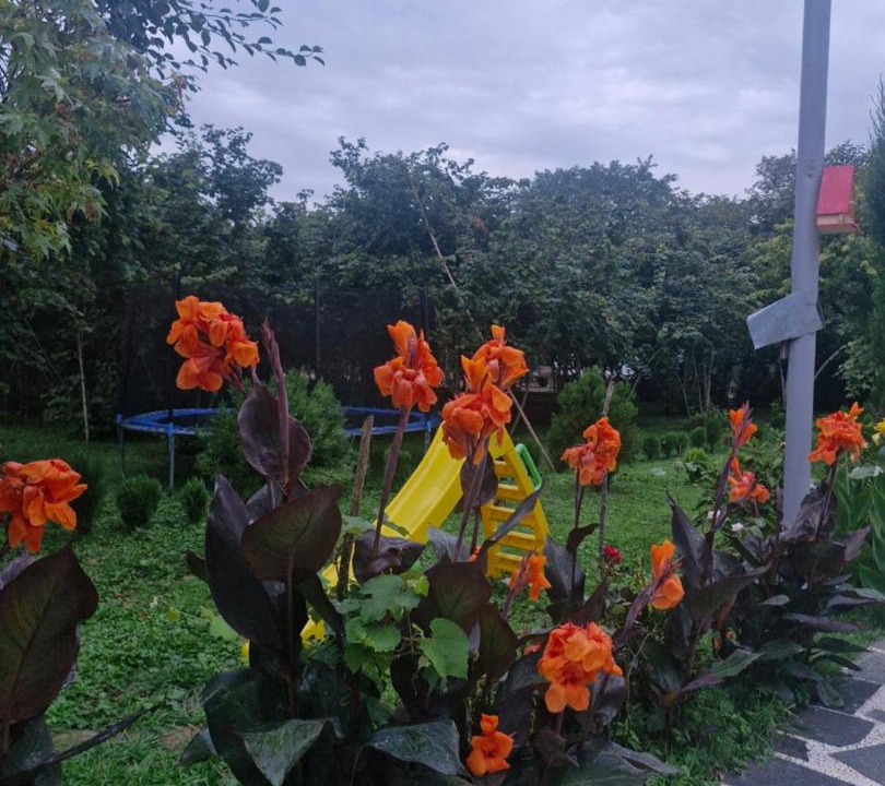 Photo of Others in Salkhino
