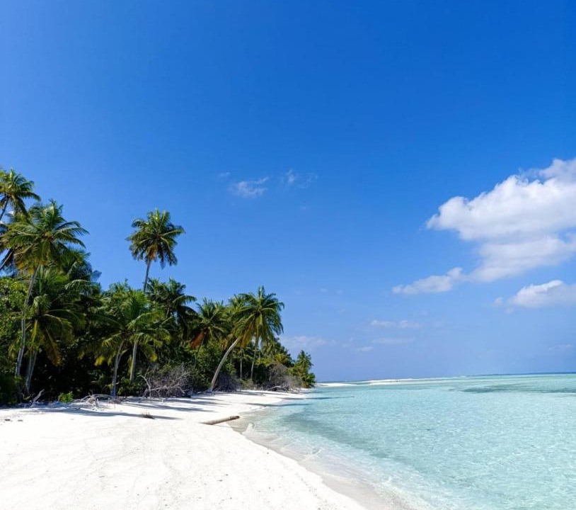 Photo of Others in Thimarafushi
