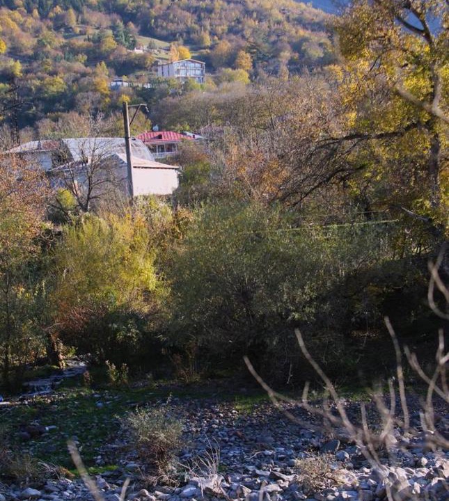 Photo of Others in Likani
