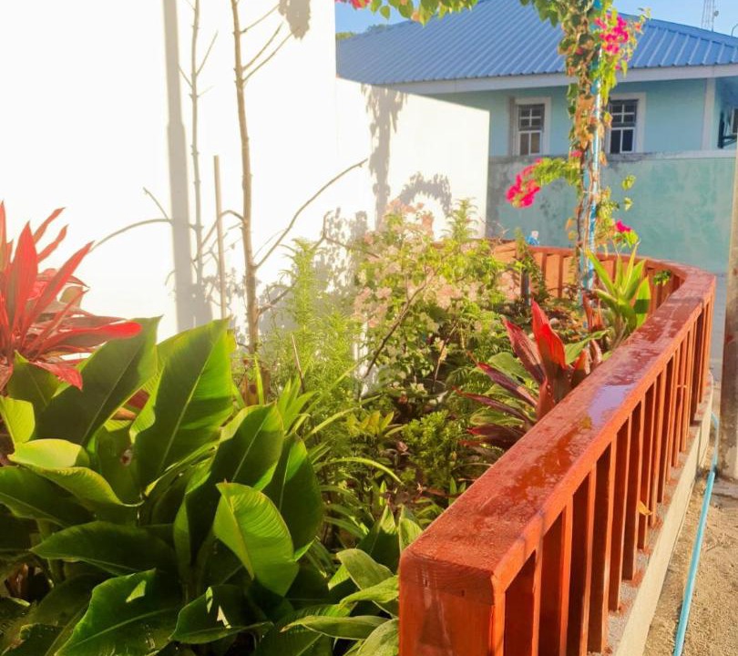 Photo of Others in Huraa
