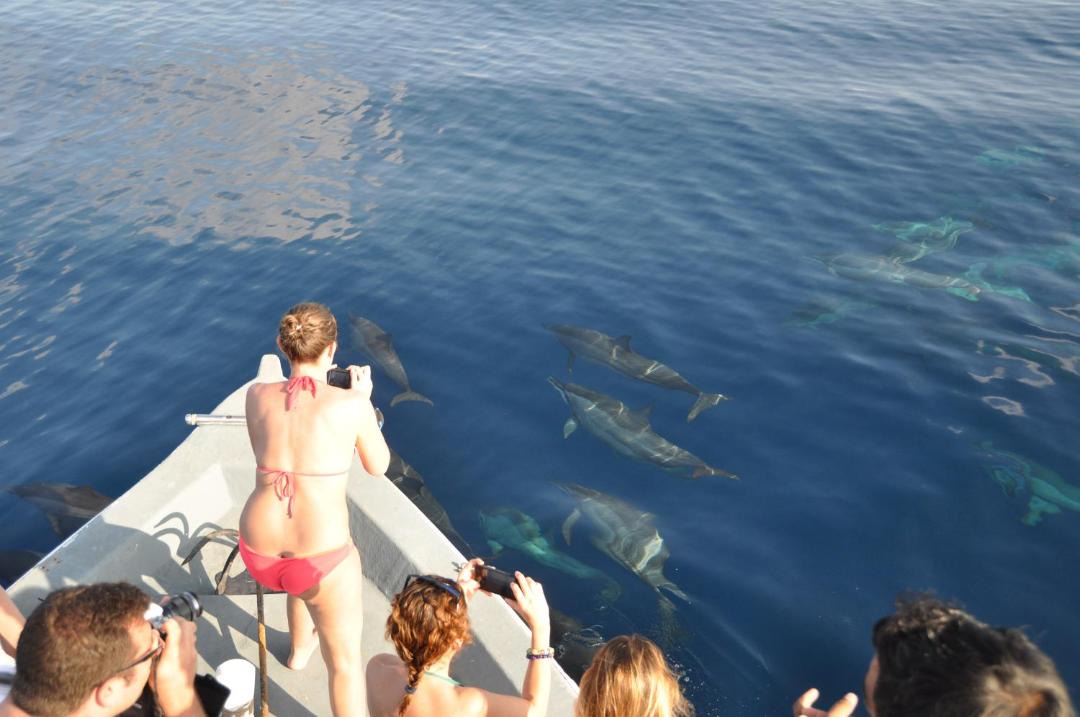 Photo of Others in Dharavandhoo