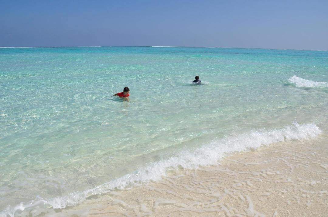 Photo of Others in Dharavandhoo