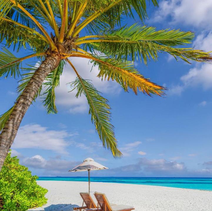 Photo of Others in Milandhoo