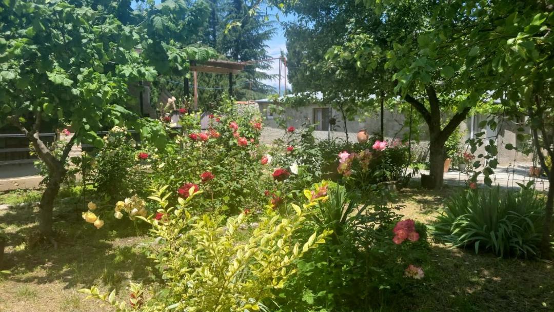 Photo of Others in Tsinandali