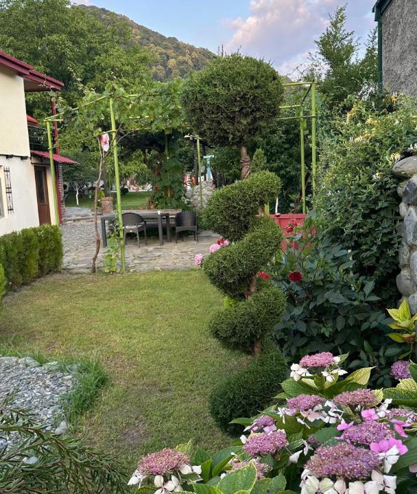 Photo of Others in Lagodekhi