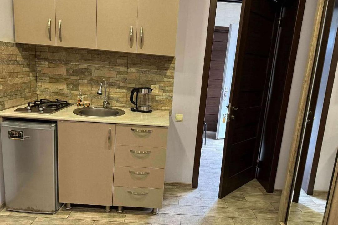 Photo of Kitchen in Borjomi