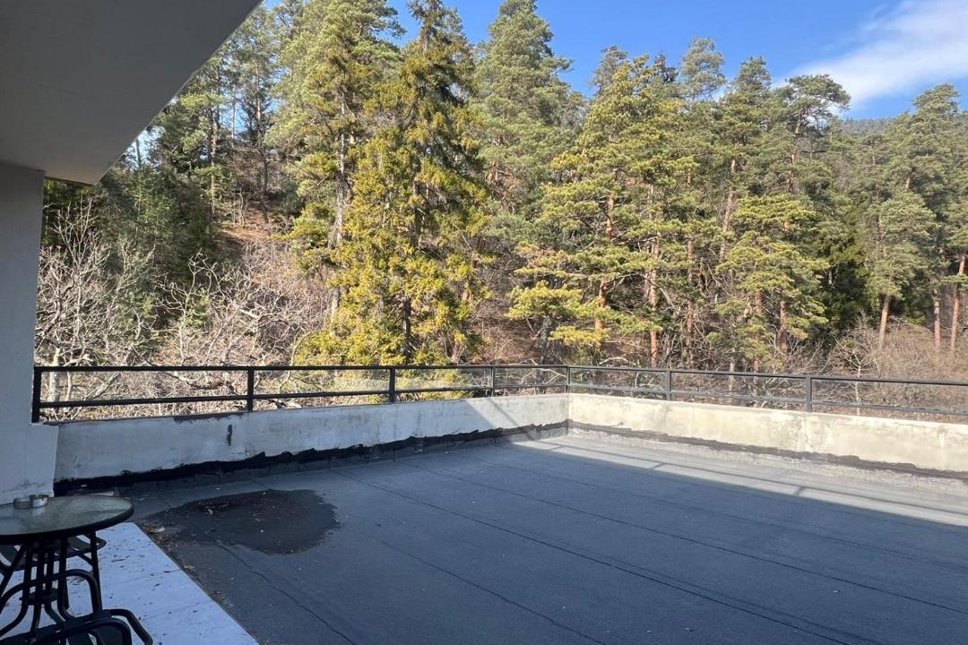 Photo of Patio Balcony in Borjomi