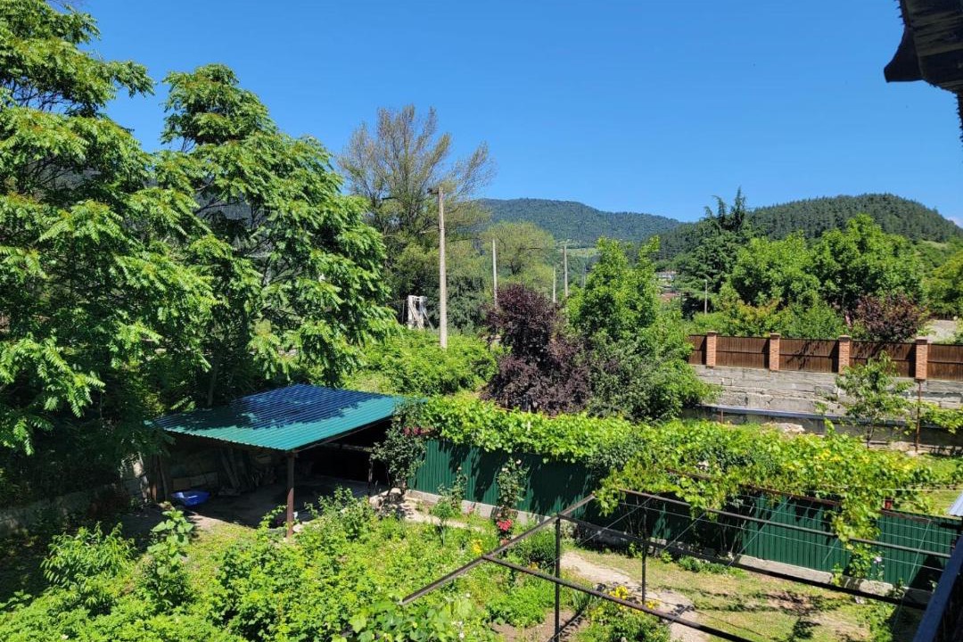 Photo of Others in Borjomi