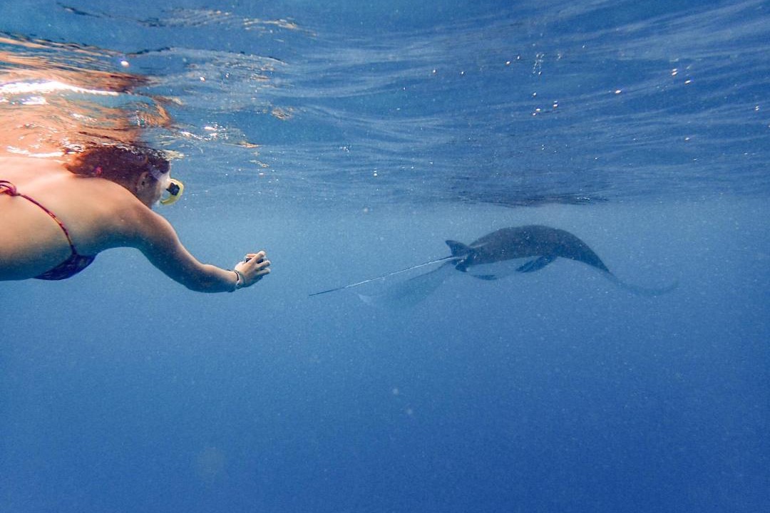 Photo of Others in Ukulhas