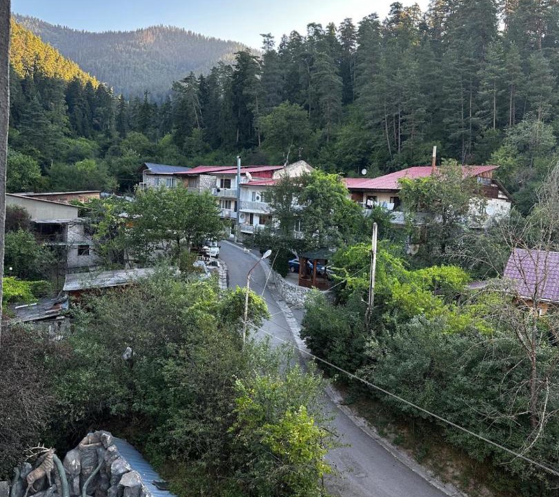 Photo of Others in Likani