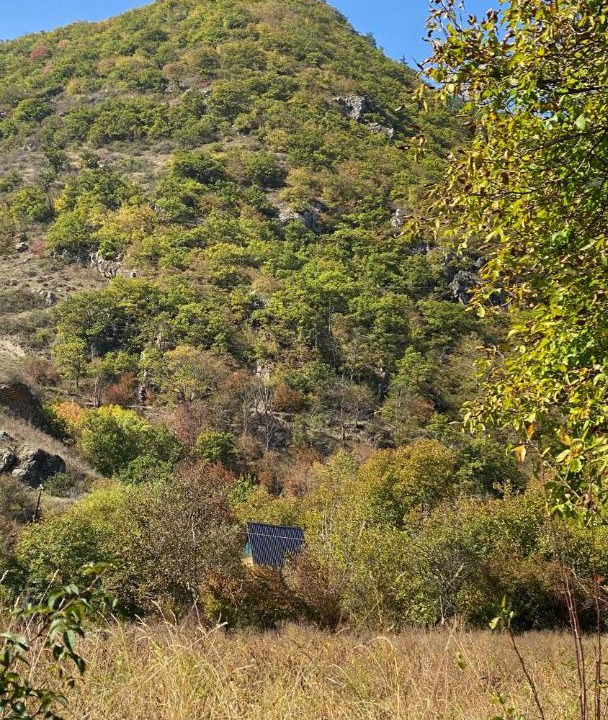 Photo of Others in Likani