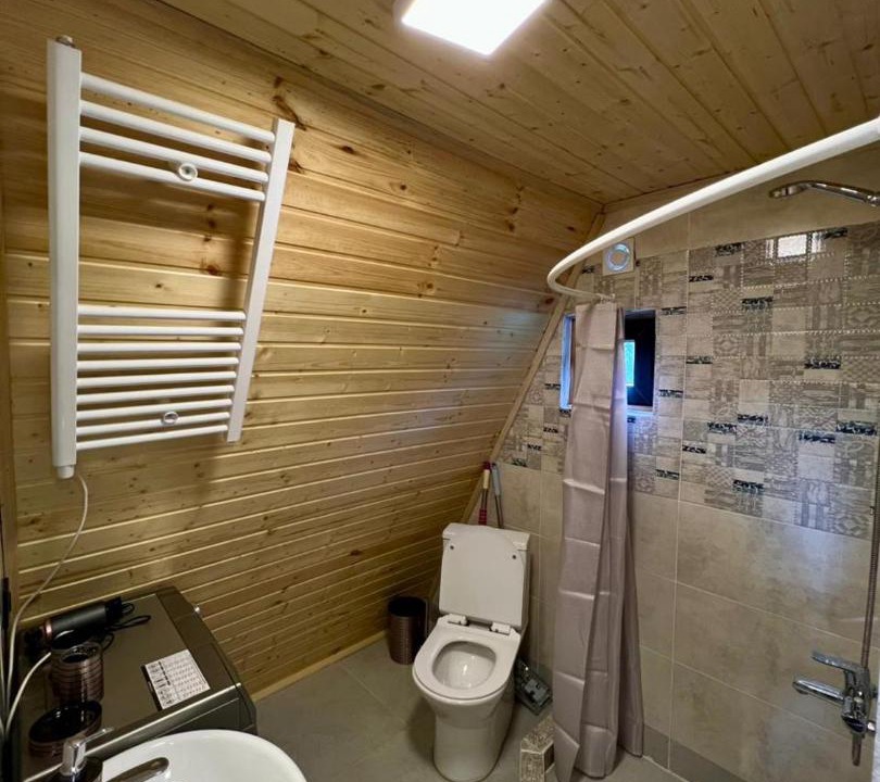Photo of Bathroom in Bagvdanari
