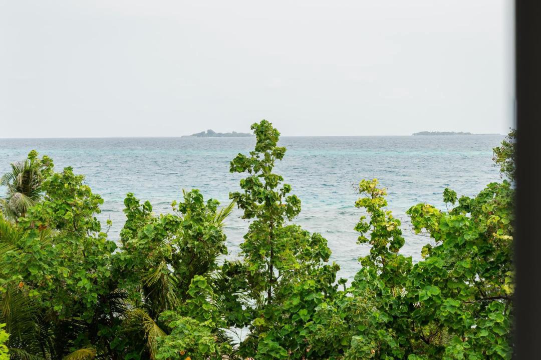 Photo of Others in Dhangethi