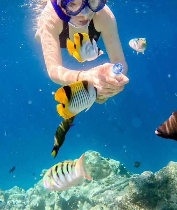 Photo of Others in Guraidhoo