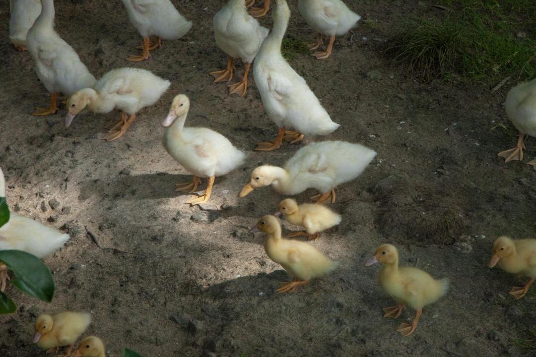 Photo of Others in Makarau