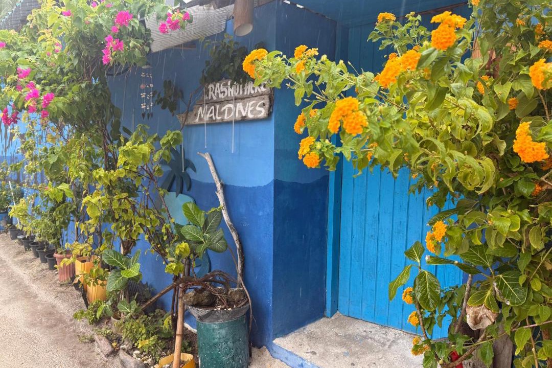 Photo of Others in Rasdhoo