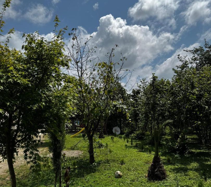 Photo of Others in Salkhino