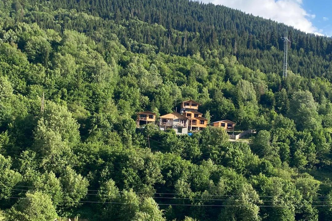 Photo of Others in Bagvdanari