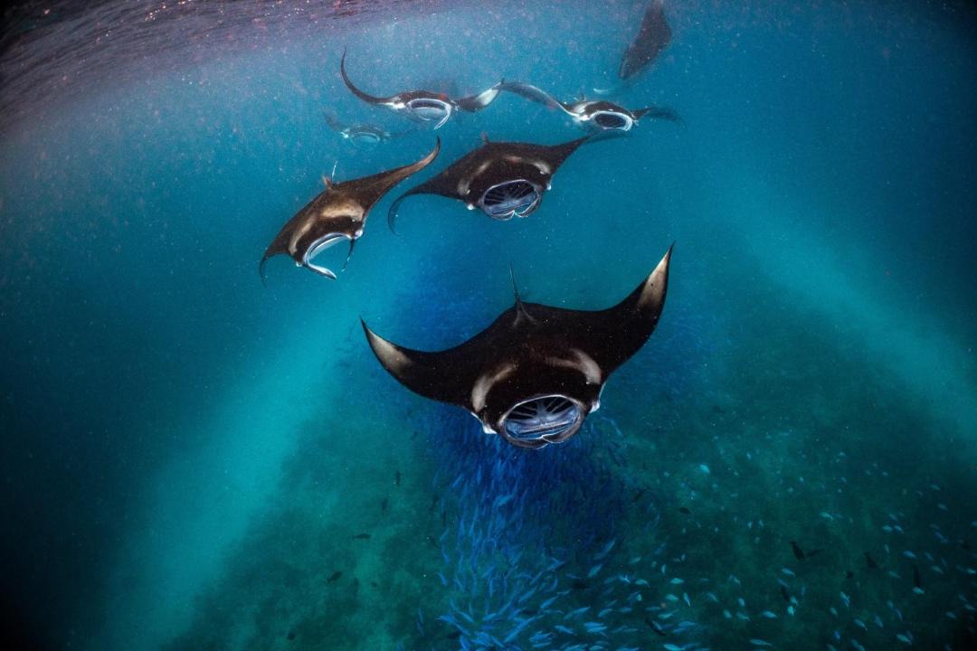 Photo of Others in Vakaru