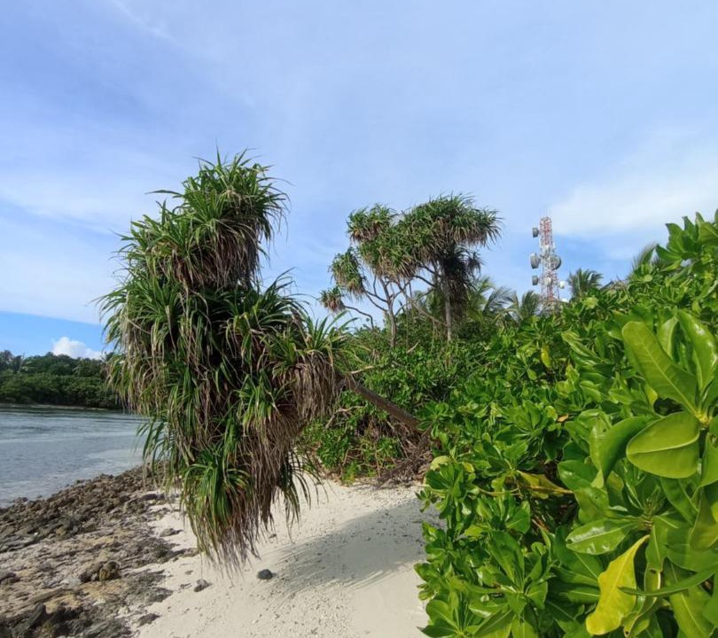 Photo of Others in Fiyoari Island