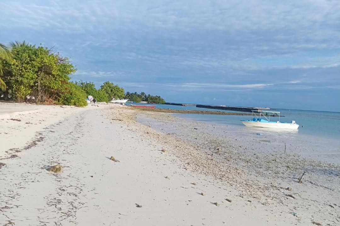 Photo of Others in Fiyoari Island