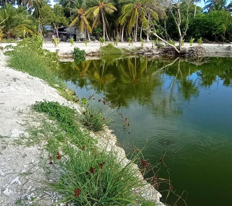 Photo of Others in Fiyoari Island