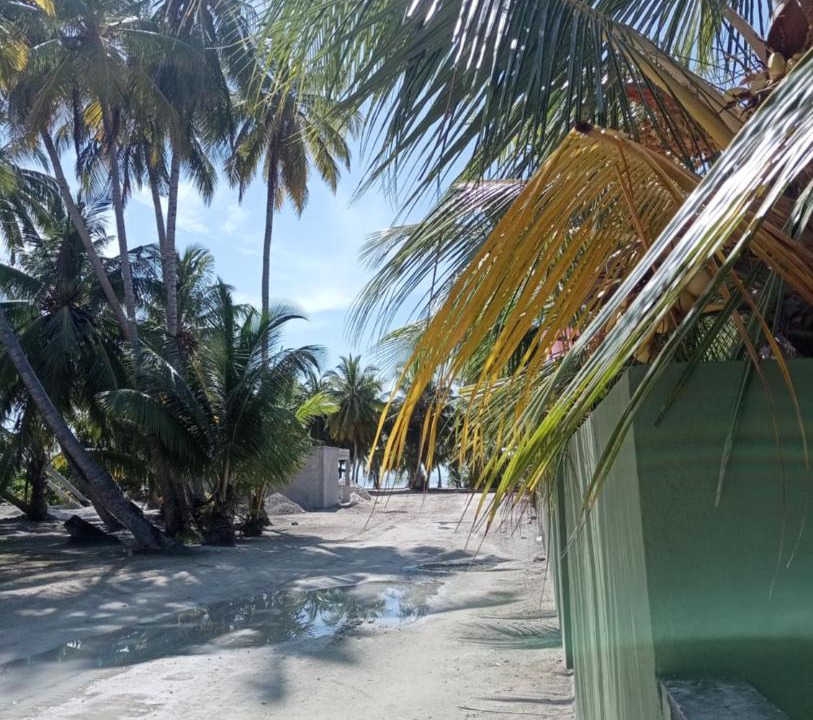 Photo of Others in Fiyoari Island