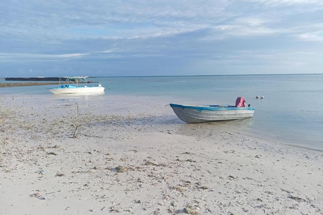 Photo of Others in Fiyoari Island
