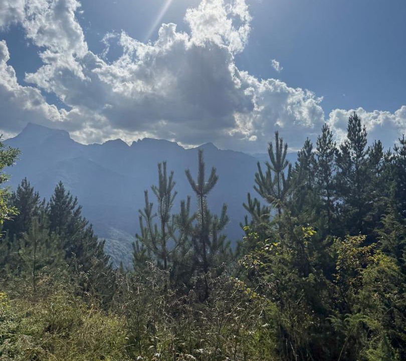 Photo of Others in Racha-Lechkhumi and Lower Svaneti